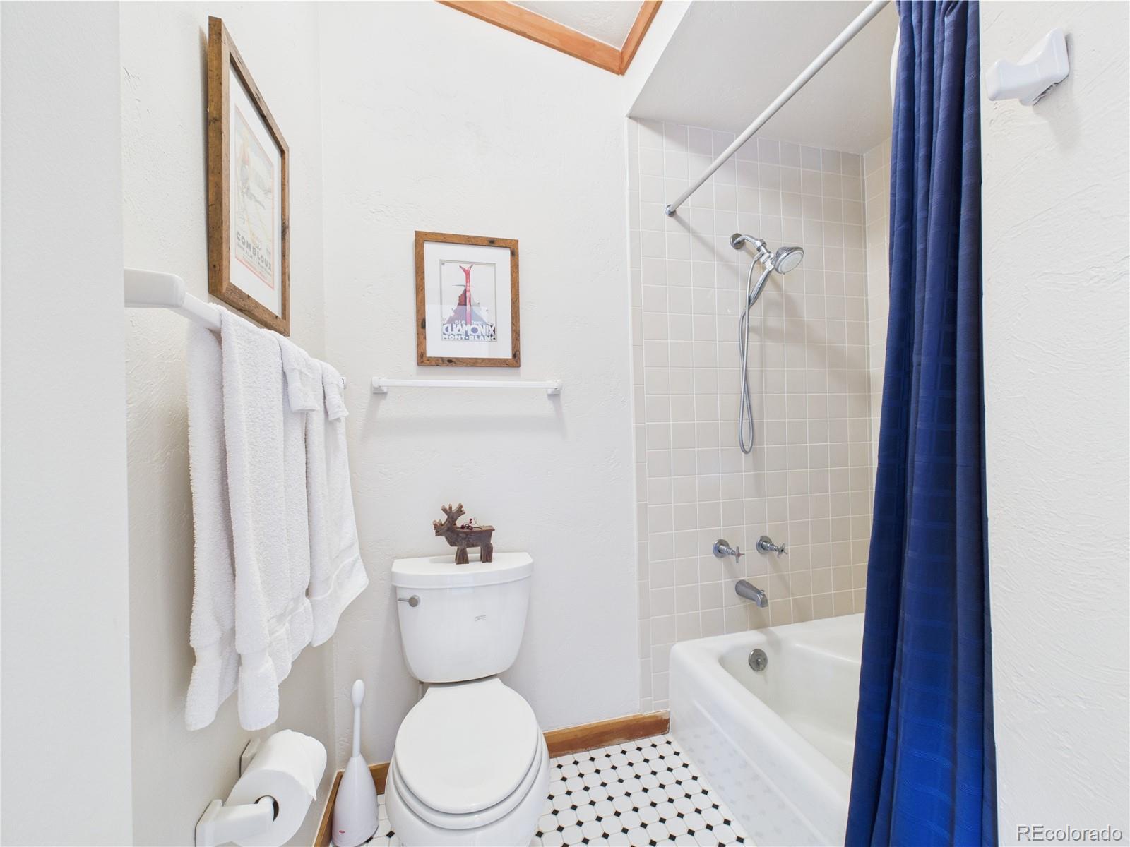 MLS Image #28 for 620  tennis club road,dillon, Colorado