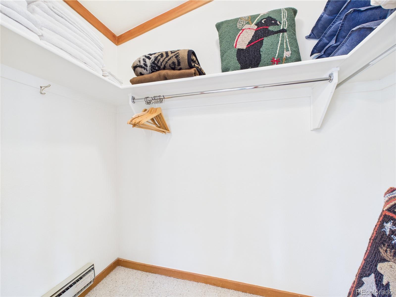 MLS Image #29 for 620  tennis club road,dillon, Colorado