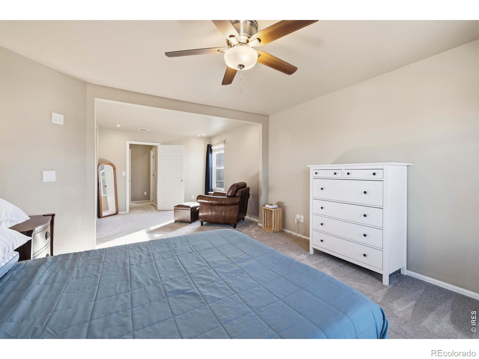 MLS Image #17 for 3635  torch lily street,wellington, Colorado