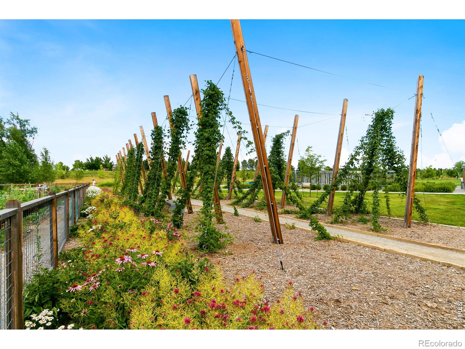 MLS Image #33 for 5850  dripping rock lane,fort collins, Colorado