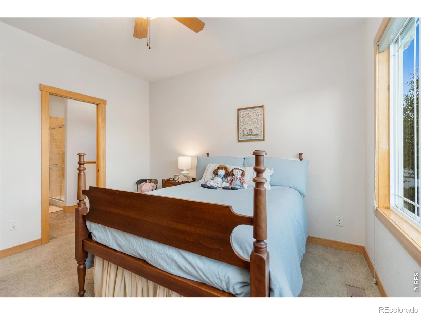 MLS Image #18 for 2759  headwater drive,fort collins, Colorado