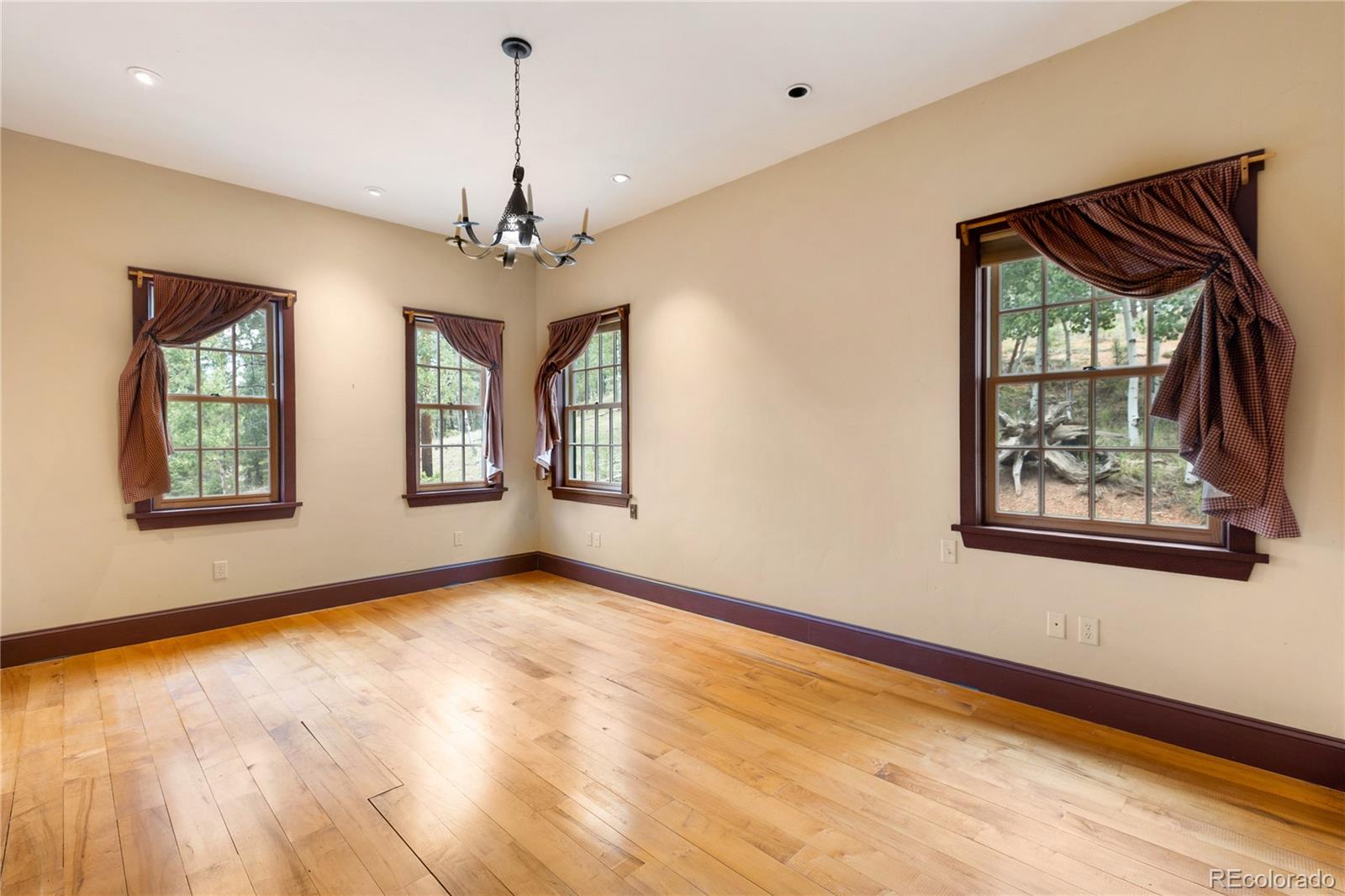 MLS Image #18 for 289  cottonwood lake drive,divide, Colorado