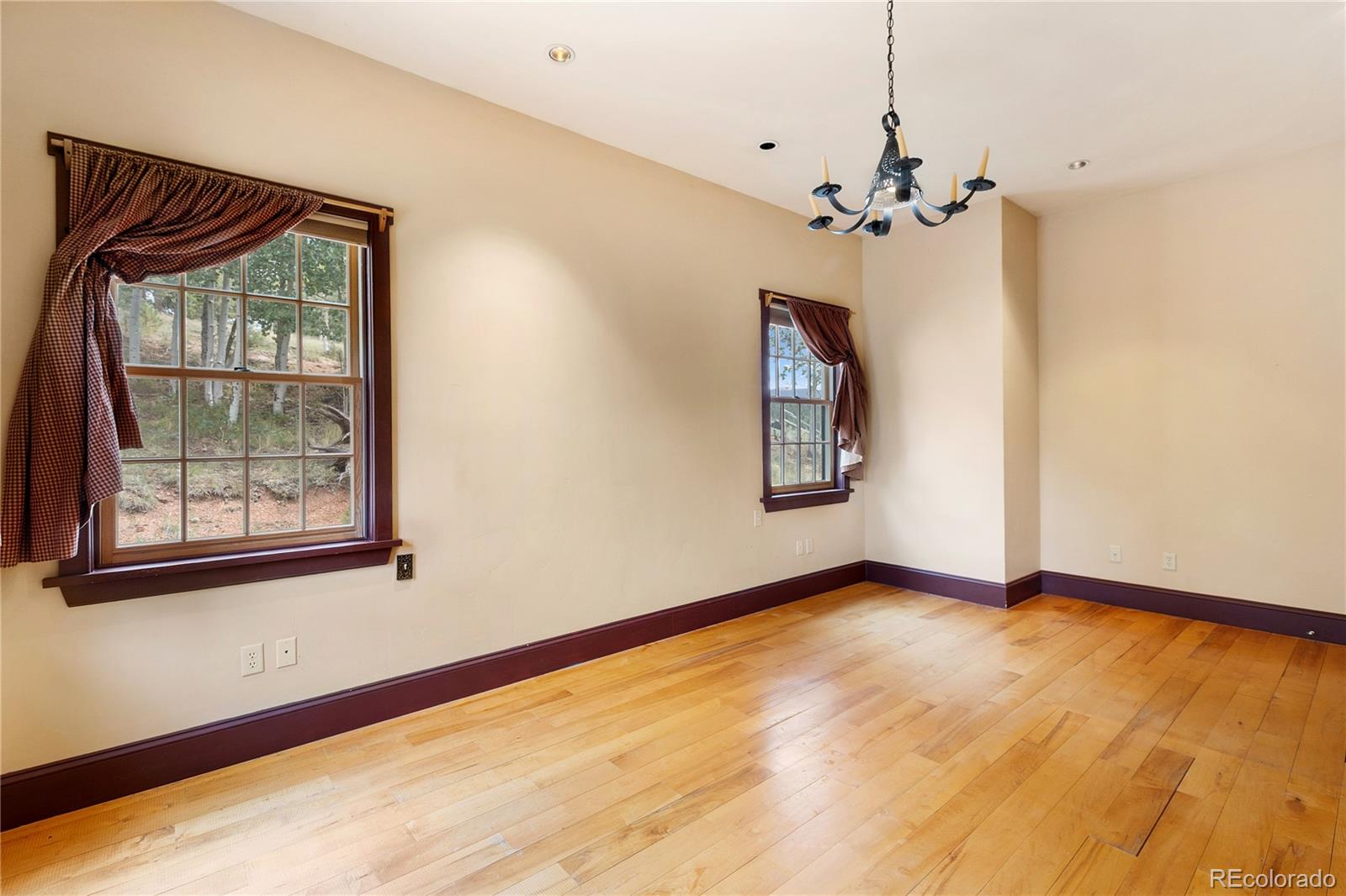 MLS Image #19 for 289  cottonwood lake drive,divide, Colorado