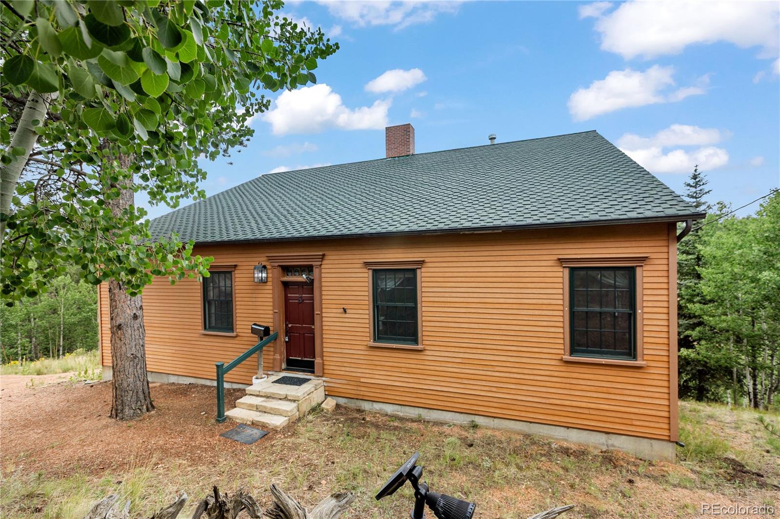 MLS Image #3 for 289  cottonwood lake drive,divide, Colorado