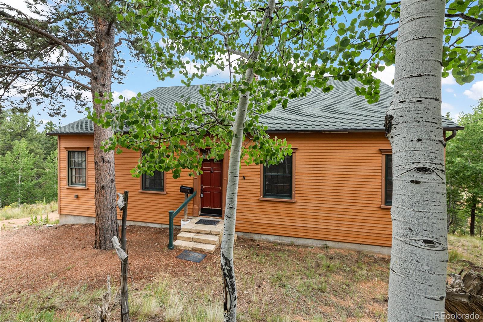 MLS Image #5 for 289  cottonwood lake drive,divide, Colorado