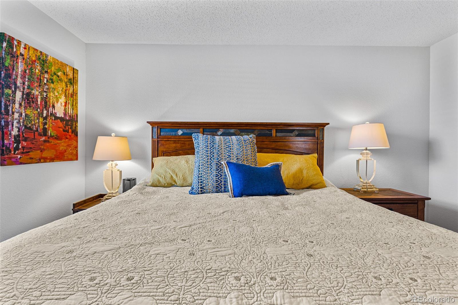 MLS Image #27 for 415  fourth street,fairplay, Colorado