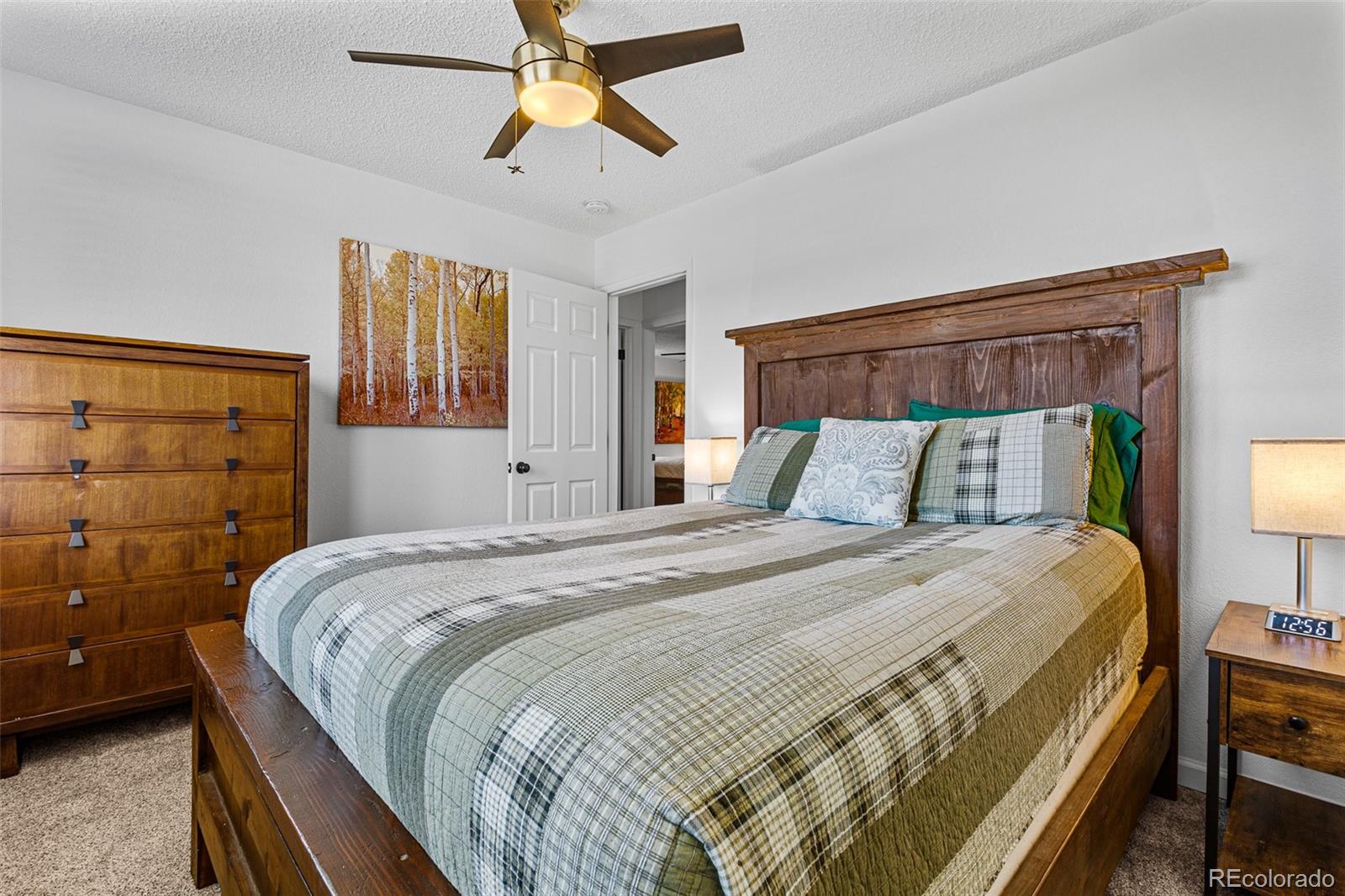 MLS Image #33 for 415  fourth street,fairplay, Colorado