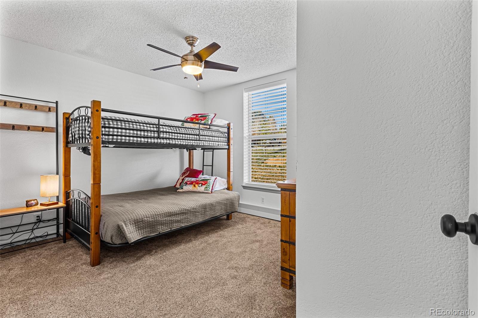 MLS Image #38 for 415  fourth street,fairplay, Colorado