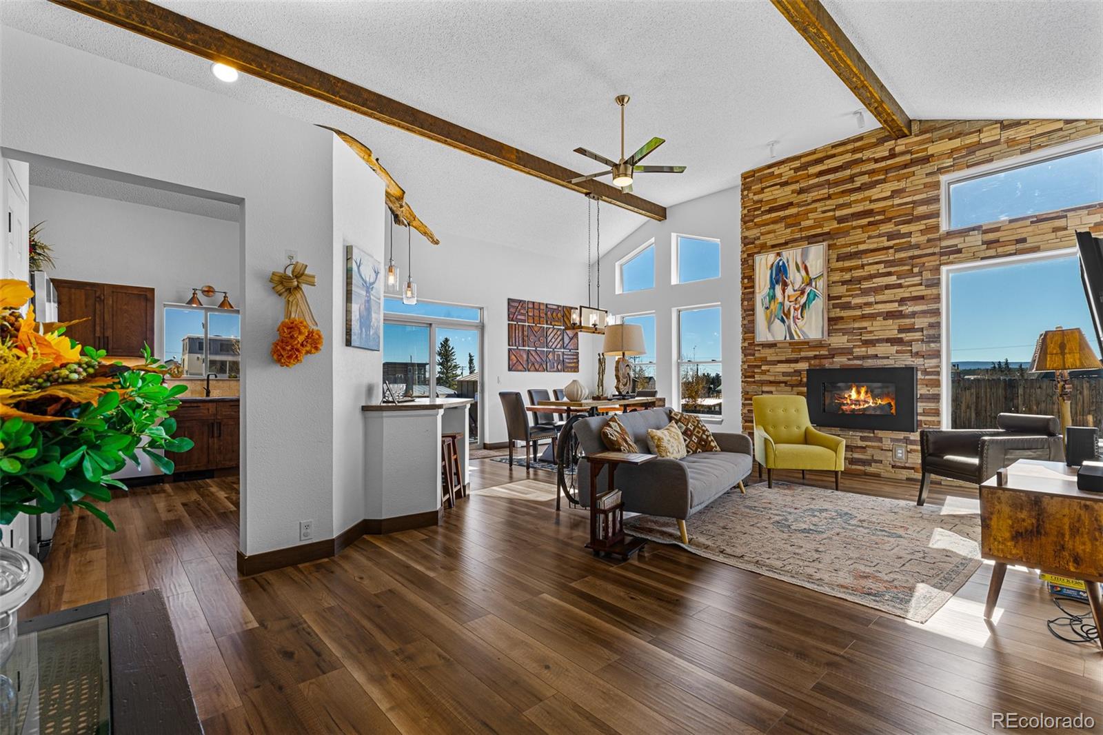 MLS Image #5 for 415  fourth street,fairplay, Colorado