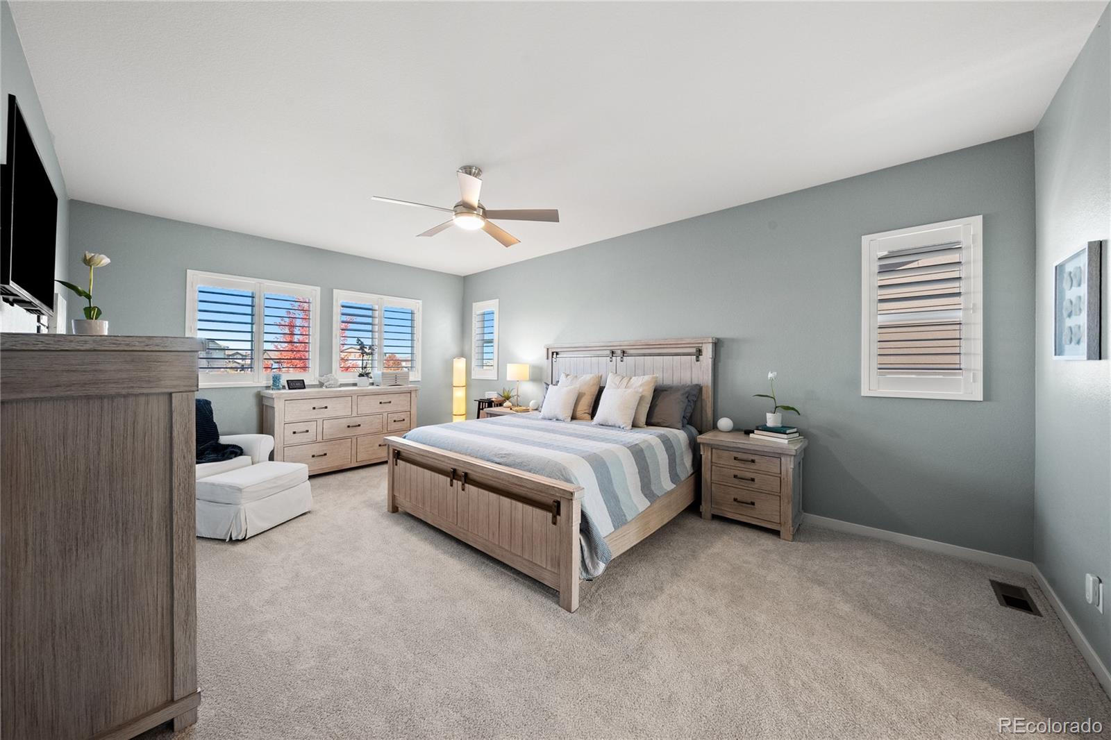MLS Image #19 for 13912  blue wing lane,parker, Colorado