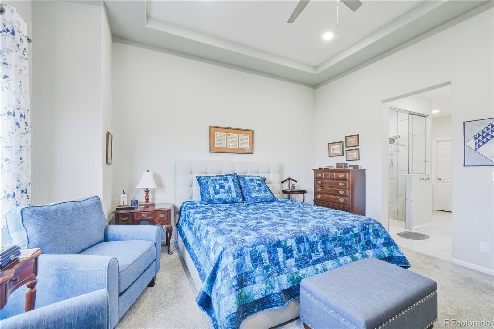 MLS Image #19 for 20365 e 53rd drive,denver, Colorado