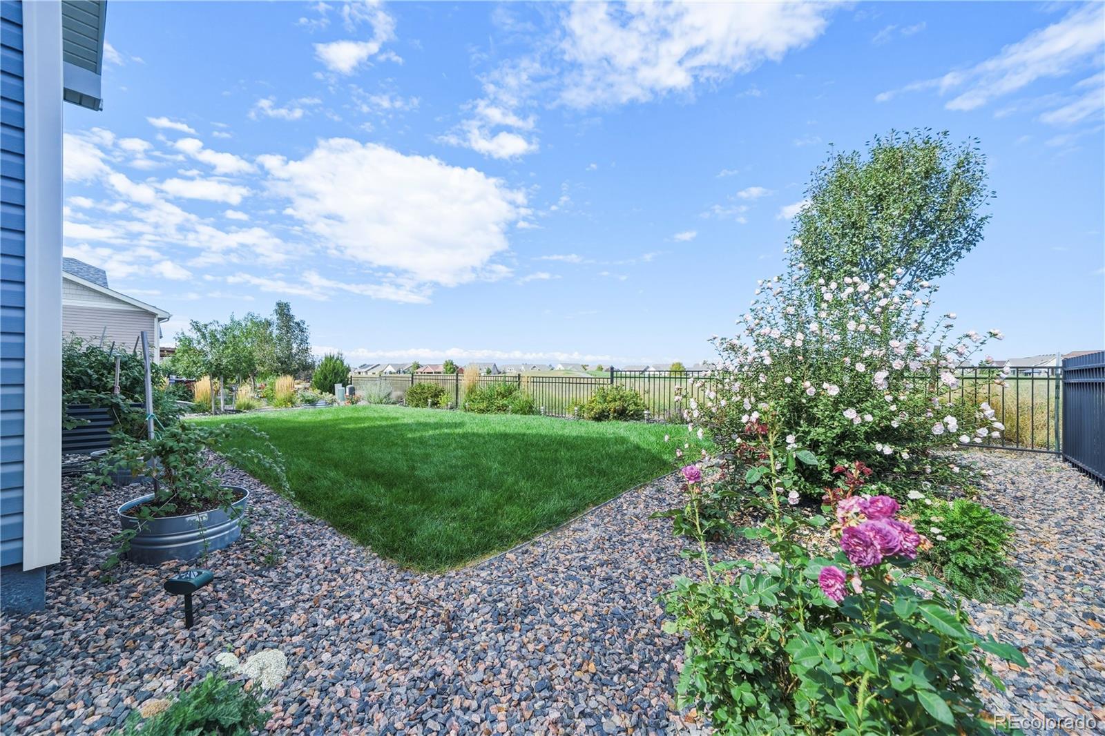 MLS Image #29 for 20365 e 53rd drive,denver, Colorado