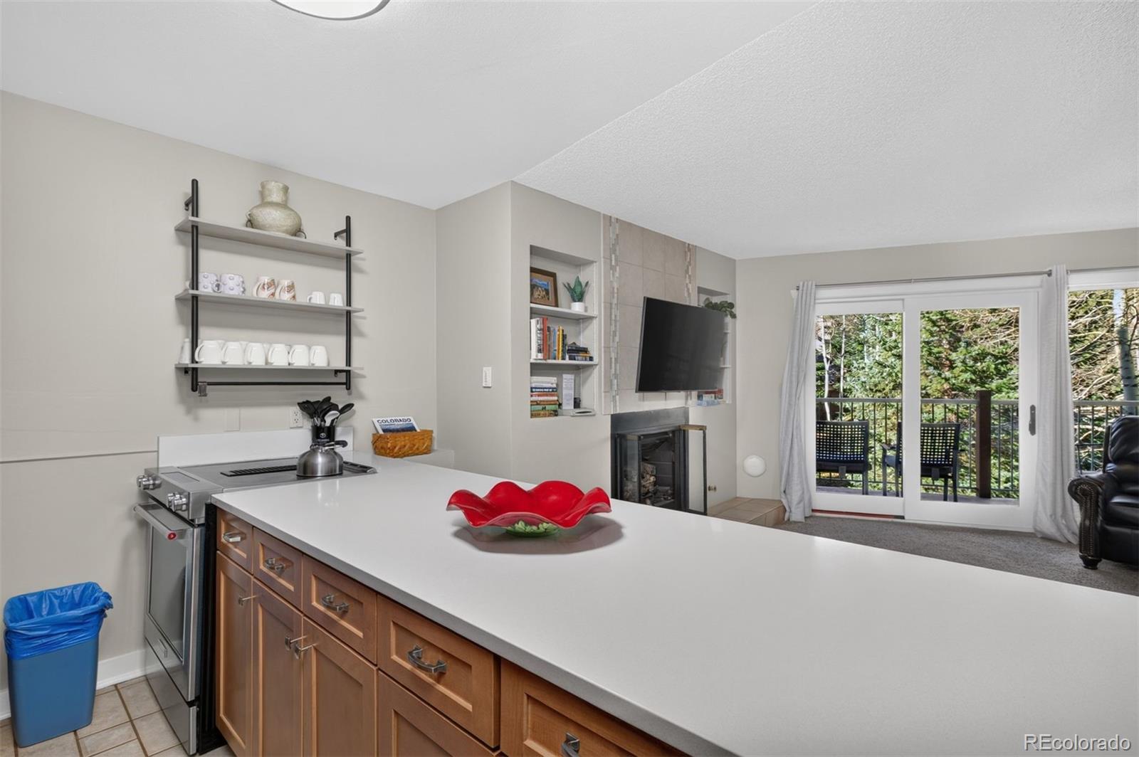 MLS Image #12 for 105 s park avenue 214,breckenridge, Colorado