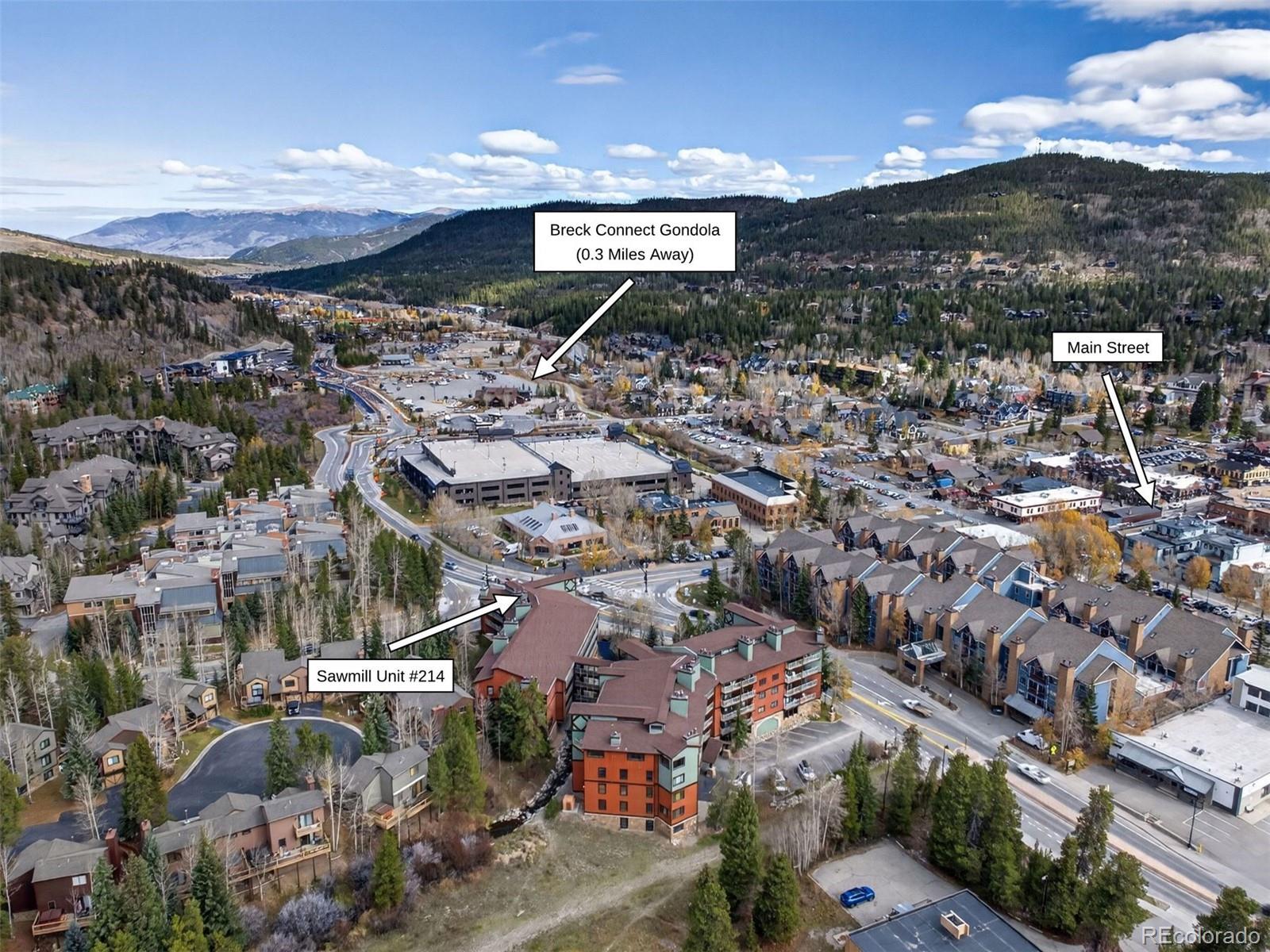 MLS Image #2 for 105 s park avenue 214,breckenridge, Colorado