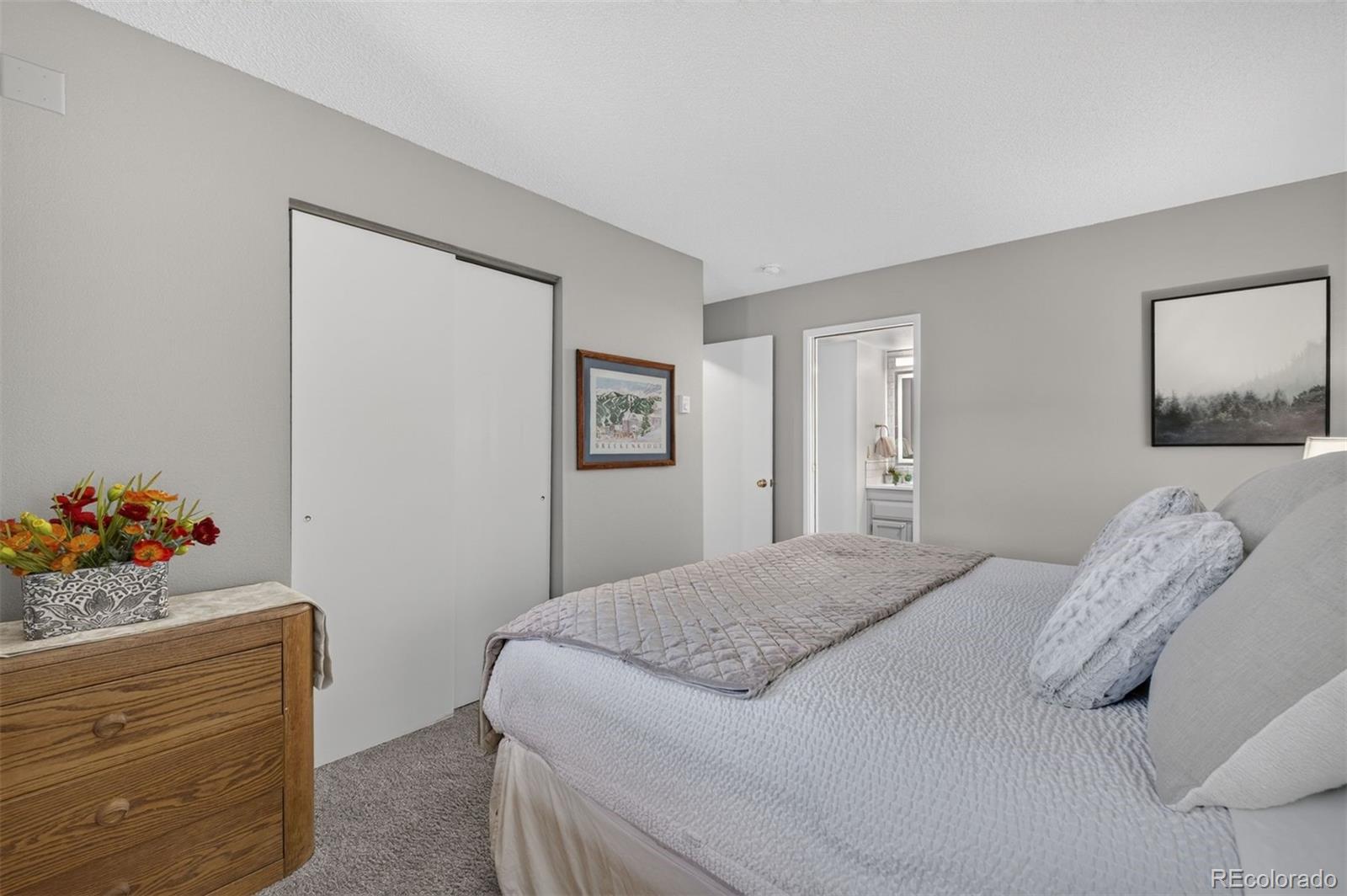 MLS Image #20 for 105 s park avenue 214,breckenridge, Colorado