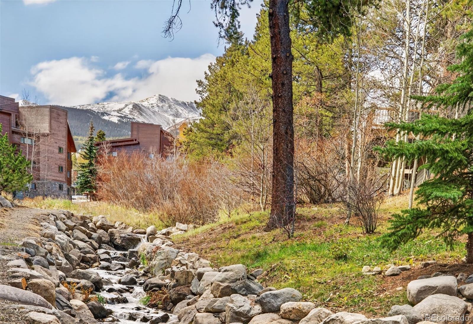 MLS Image #25 for 105 s park avenue 214,breckenridge, Colorado