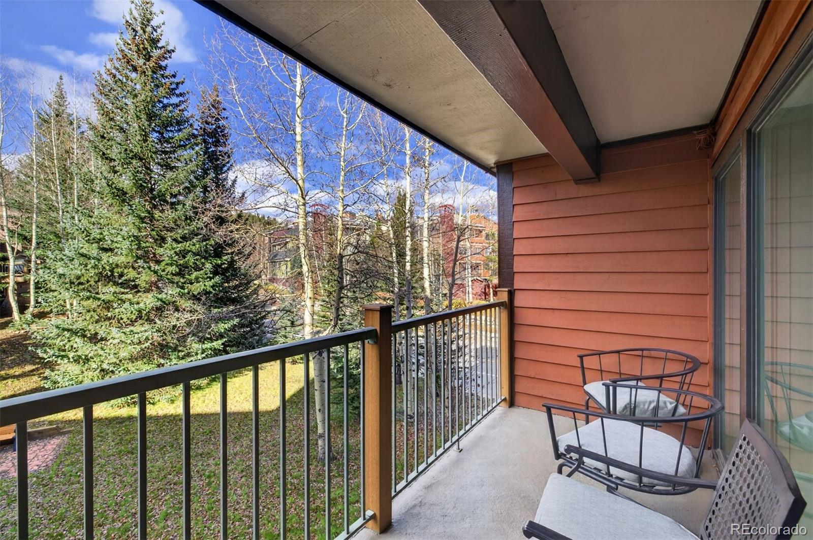 MLS Image #4 for 105 s park avenue 214,breckenridge, Colorado