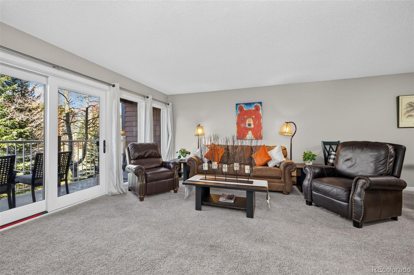 MLS Image #6 for 105 s park avenue 214,breckenridge, Colorado