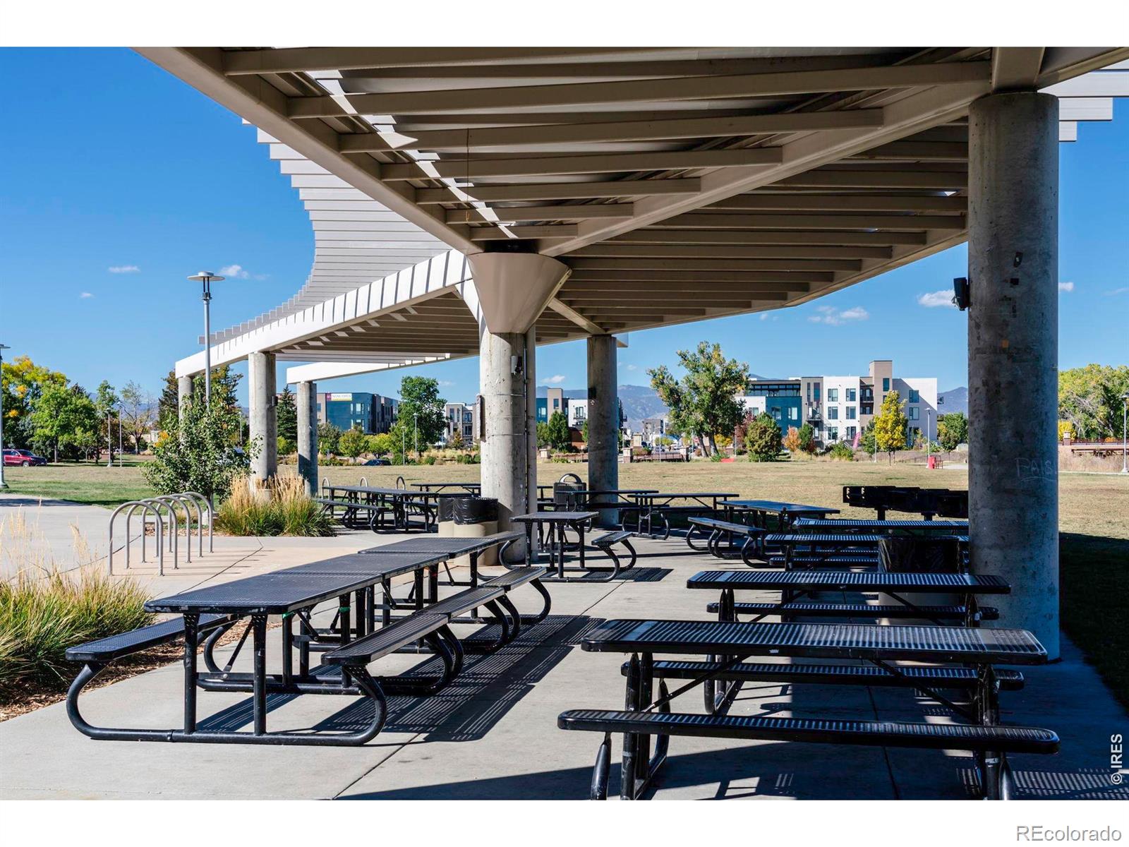 MLS Image #46 for 6467  ammons street,arvada, Colorado