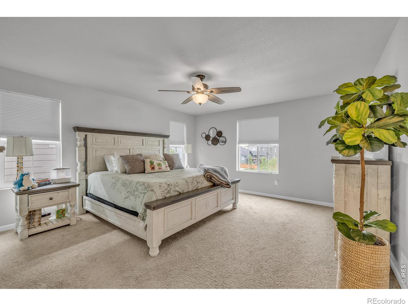 MLS Image #19 for 5433  bauer drive,frederick, Colorado
