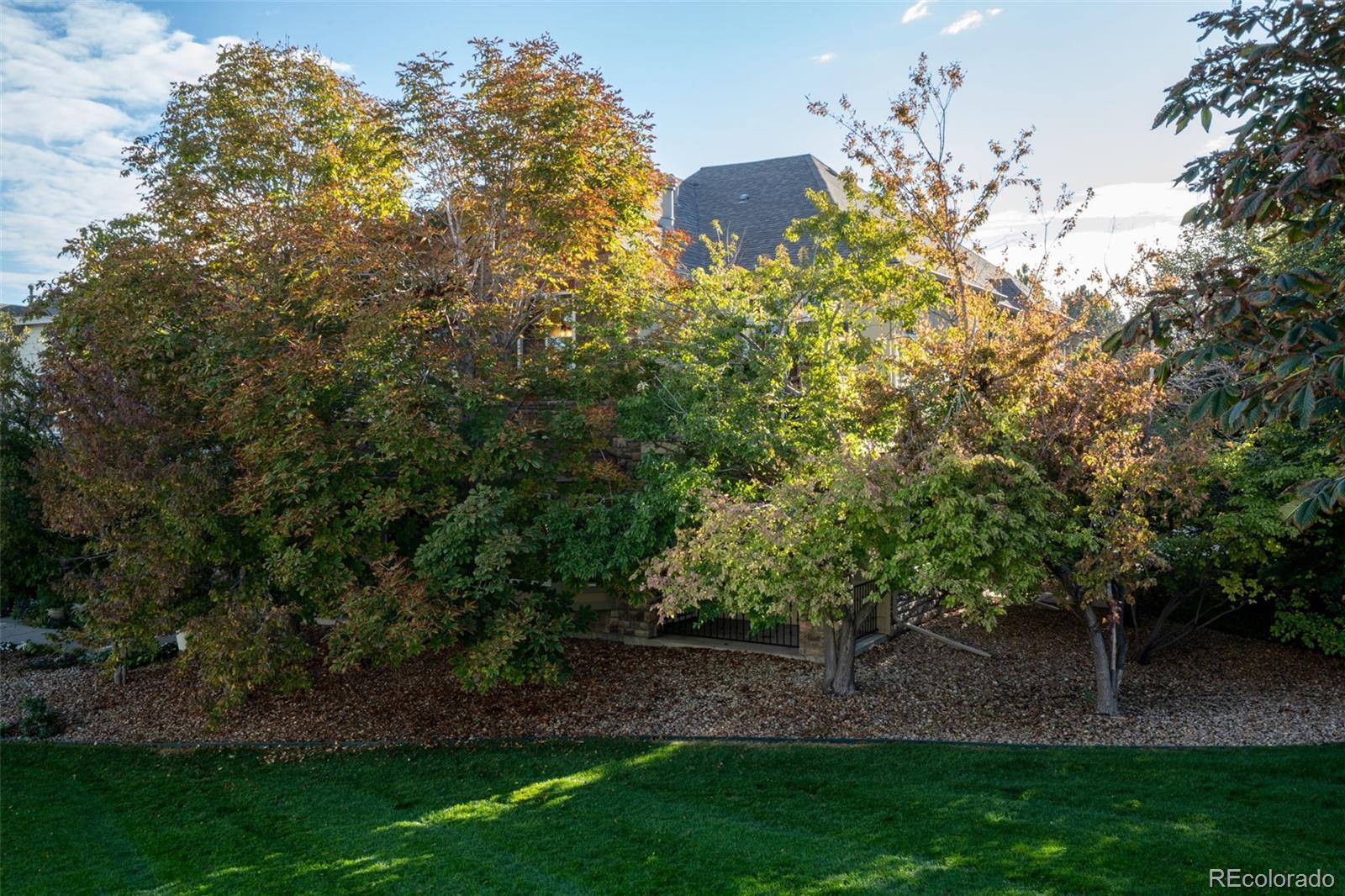 MLS Image #40 for 11246  osage circle,westminster, Colorado
