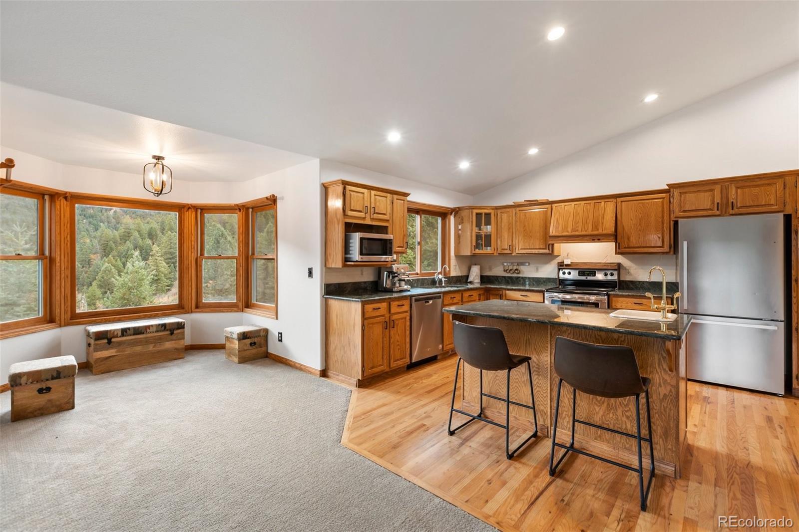 MLS Image #12 for 358  creek side drive,woodland park, Colorado