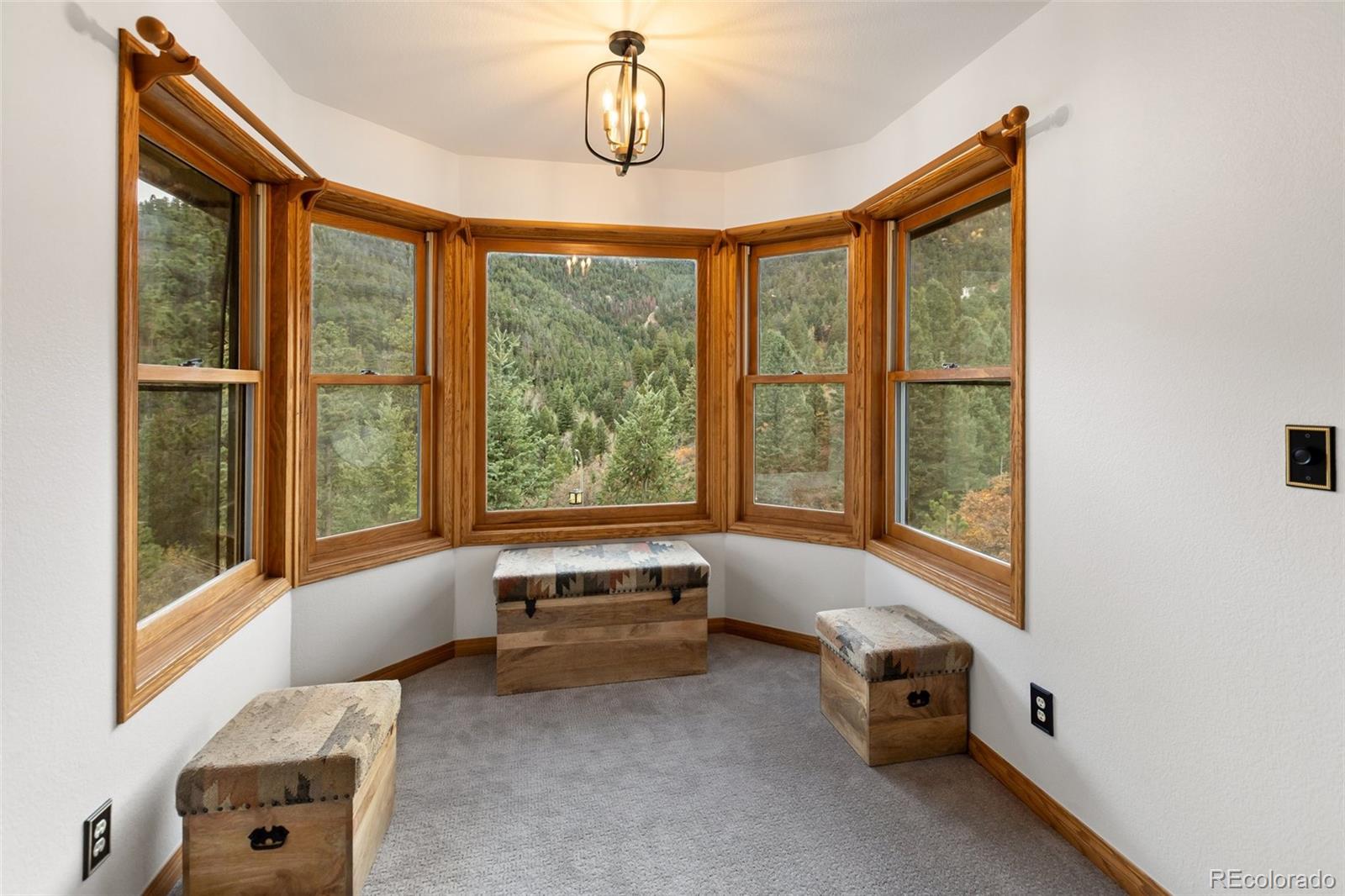 MLS Image #13 for 358  creek side drive,woodland park, Colorado