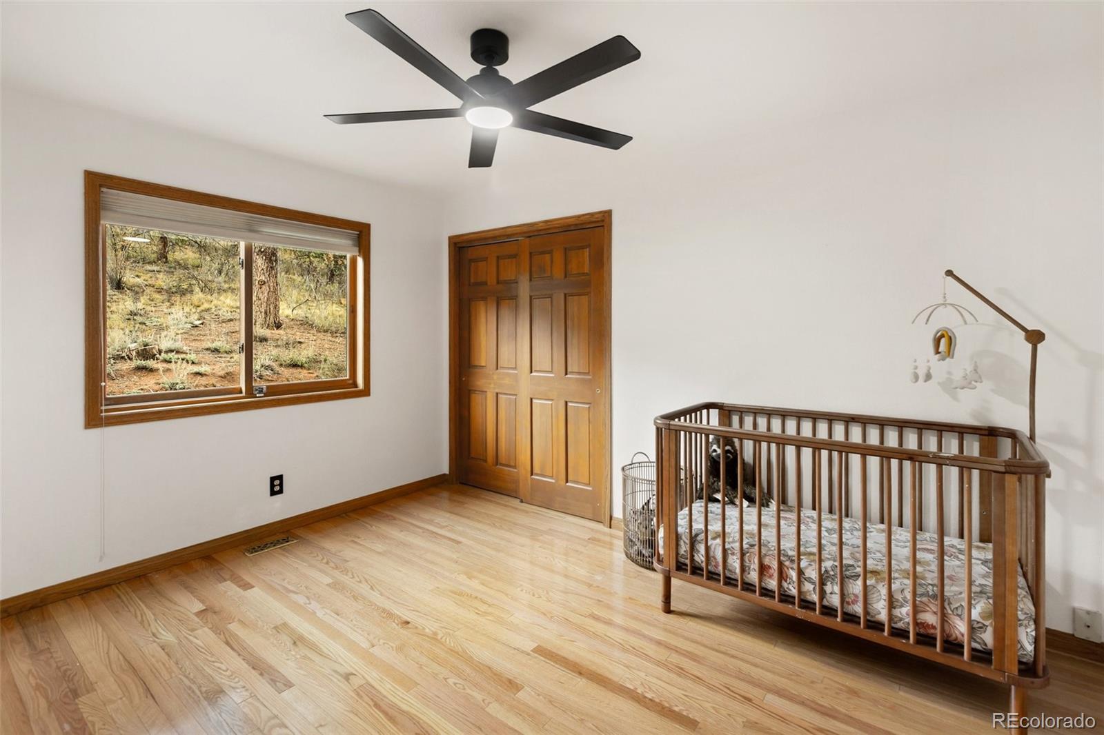 MLS Image #19 for 358  creek side drive,woodland park, Colorado