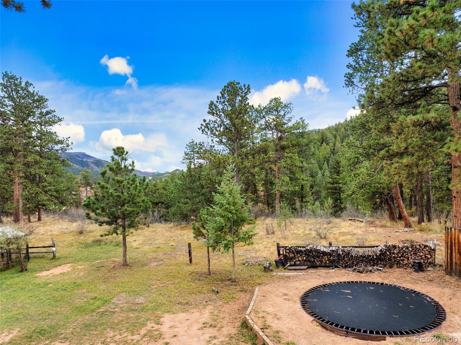 MLS Image #32 for 358  creek side drive,woodland park, Colorado