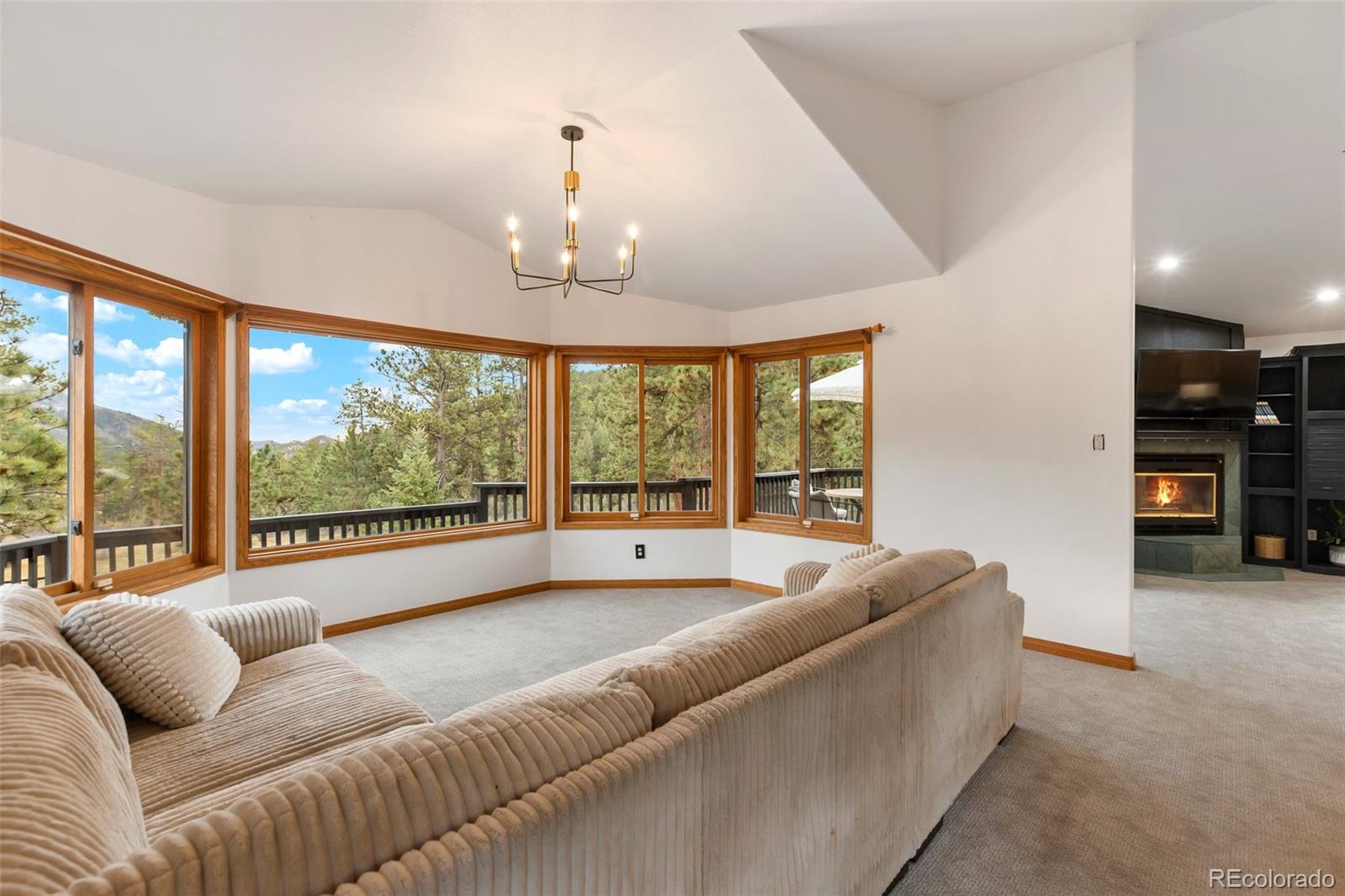 MLS Image #5 for 358  creek side drive,woodland park, Colorado