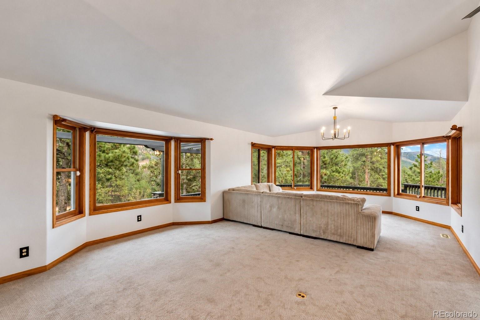 MLS Image #6 for 358  creek side drive,woodland park, Colorado