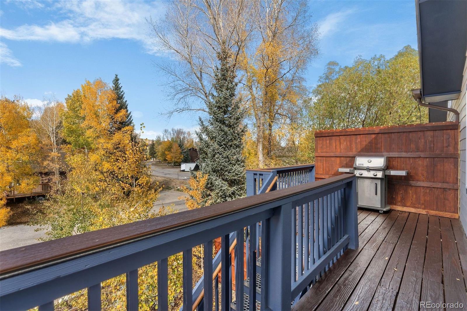 MLS Image #12 for 245  tennis court,silverthorne, Colorado