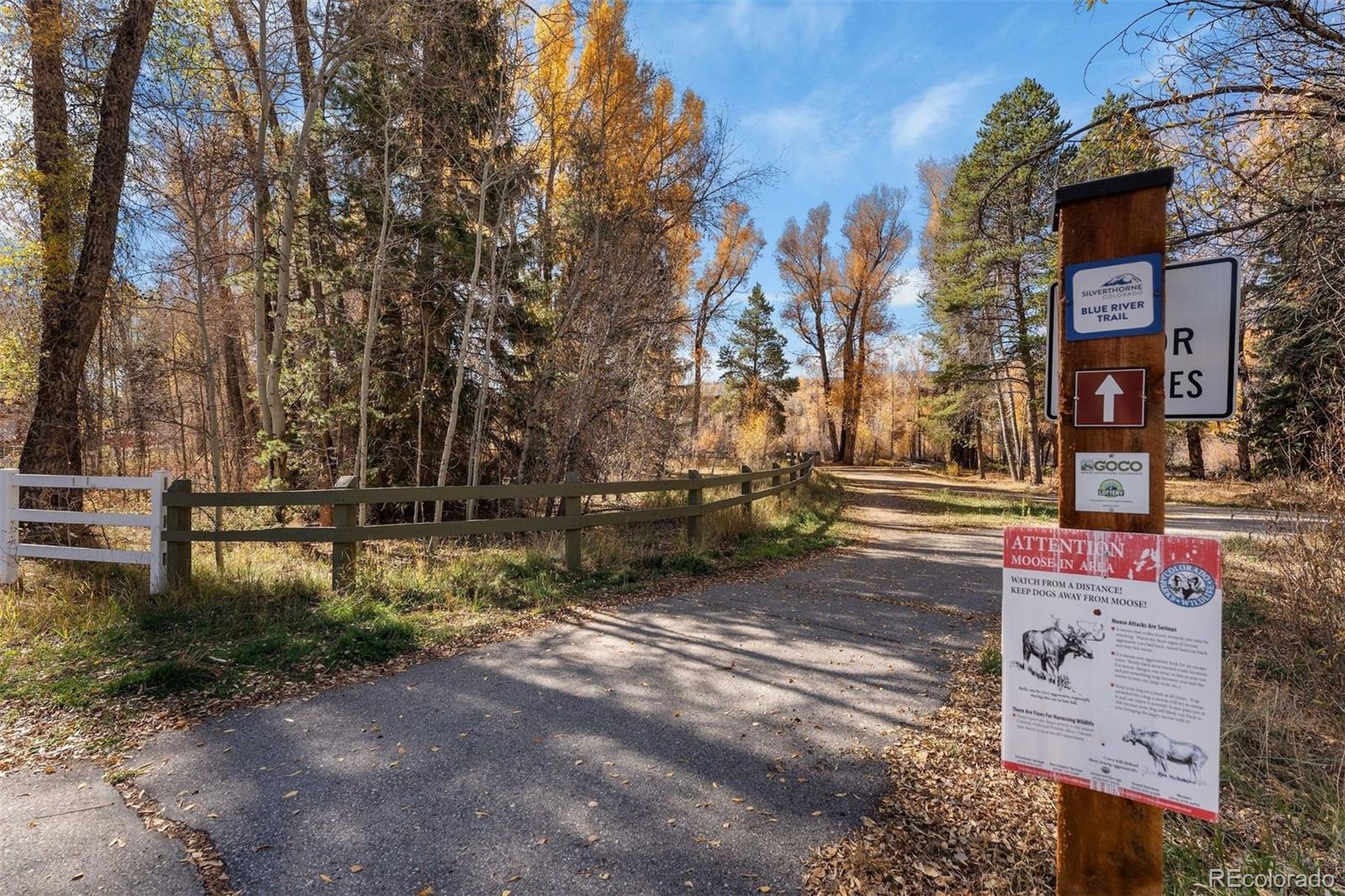 MLS Image #45 for 245  tennis court,silverthorne, Colorado