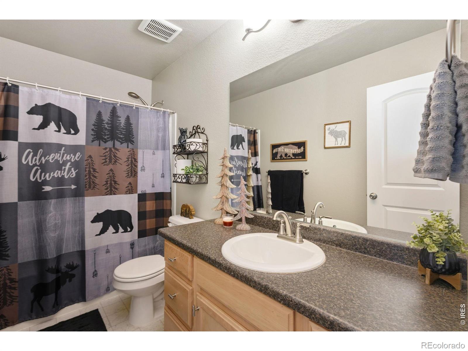 MLS Image #14 for 1806  102nd ave ct,greeley, Colorado