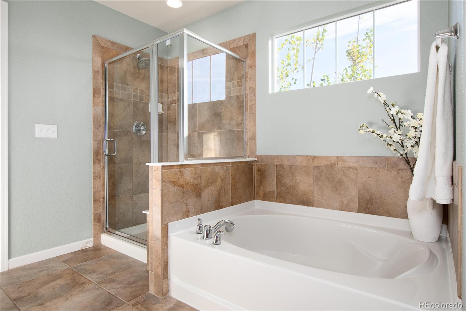 MLS Image #24 for 16400  avalanche run,broomfield, Colorado