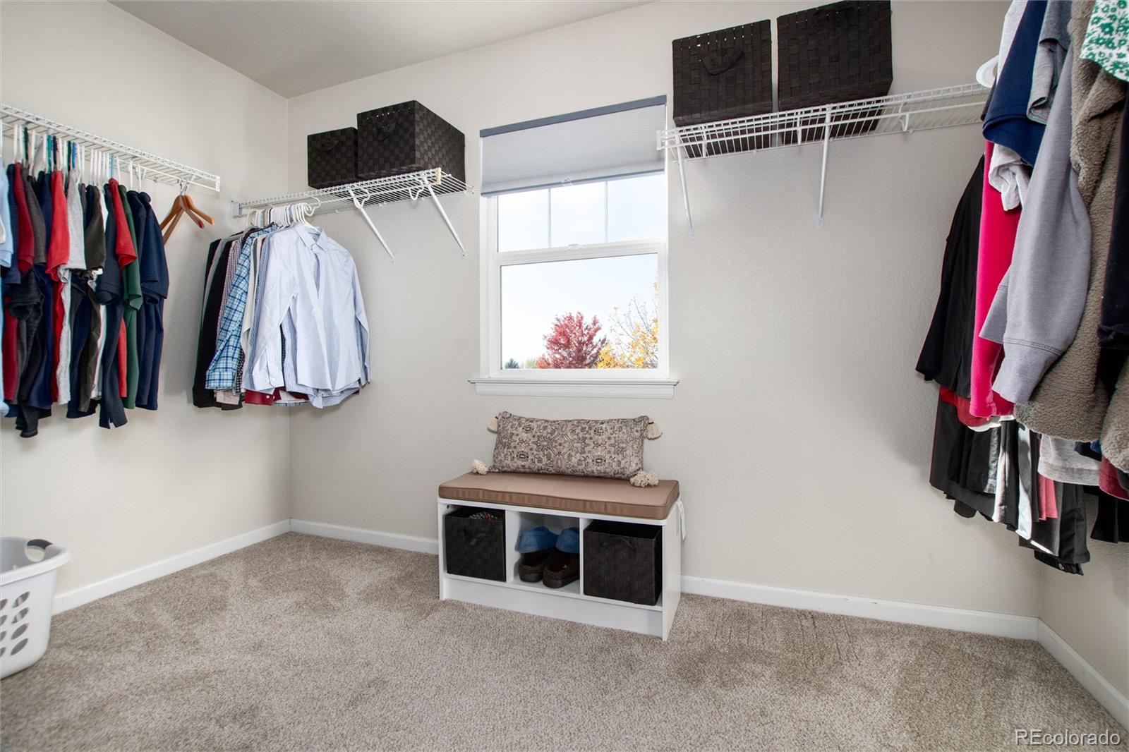 MLS Image #25 for 16400  avalanche run,broomfield, Colorado
