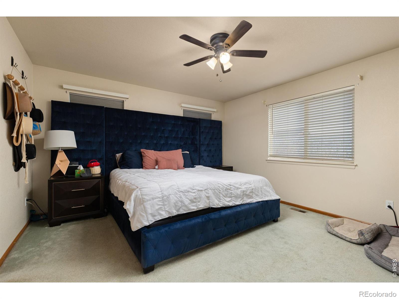 MLS Image #15 for 180  mountain ash court,milliken, Colorado