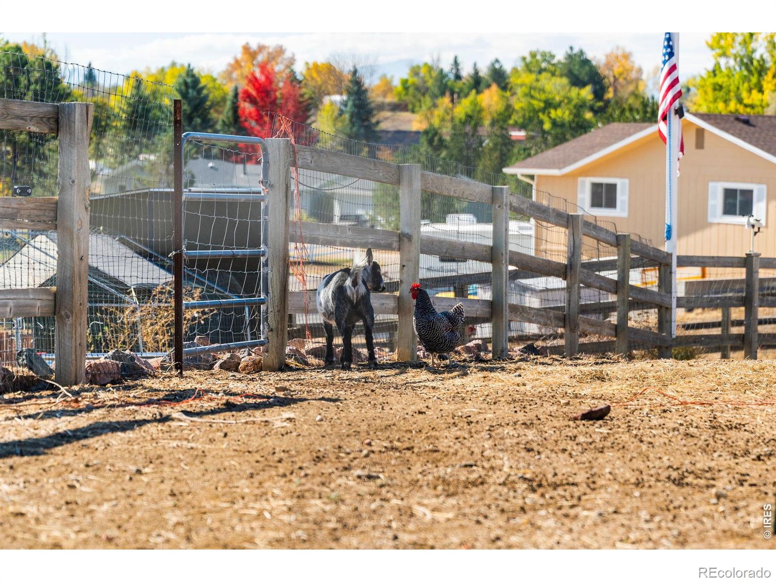 MLS Image #26 for 2612  lake hollow road,berthoud, Colorado