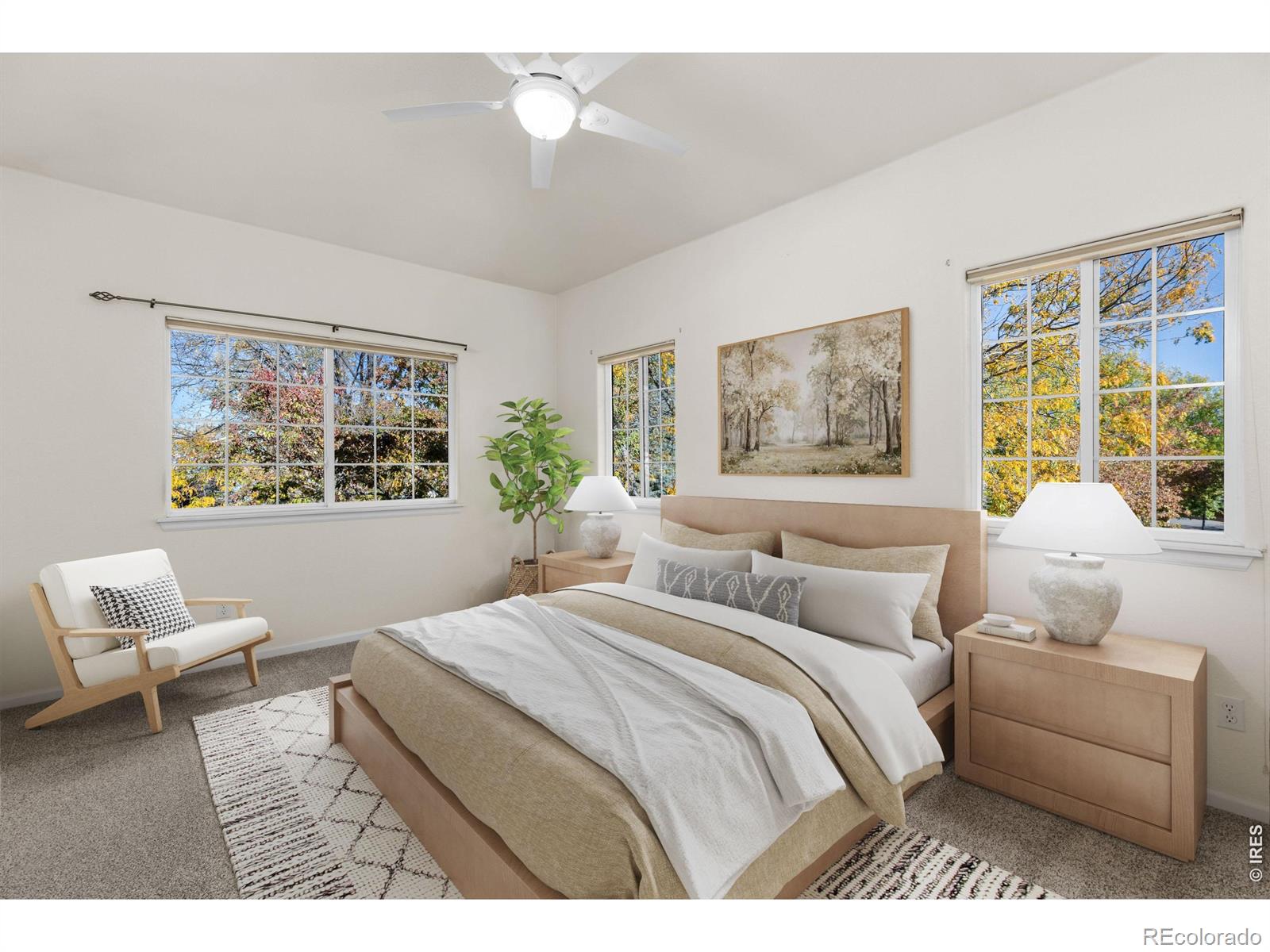 MLS Image #11 for 1703  whitehall drive,longmont, Colorado