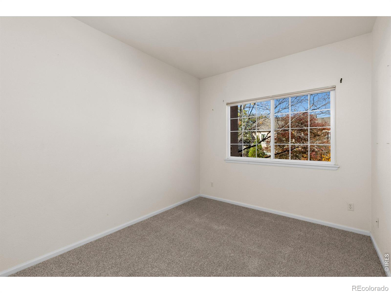 MLS Image #19 for 1703  whitehall drive,longmont, Colorado
