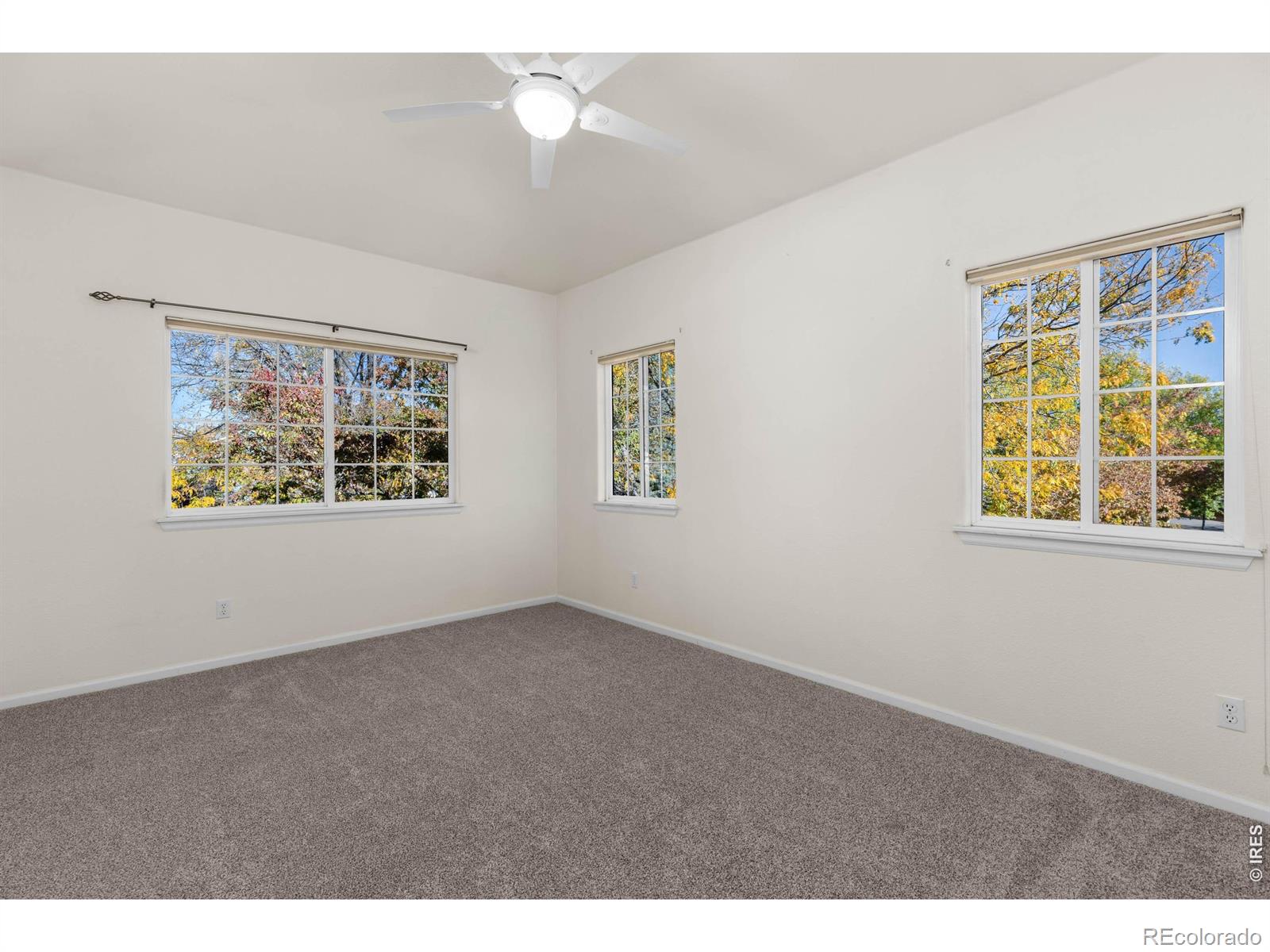 MLS Image #21 for 1703  whitehall drive,longmont, Colorado