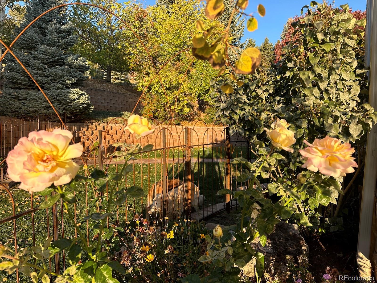 MLS Image #42 for 6387  willow springs drive,morrison, Colorado