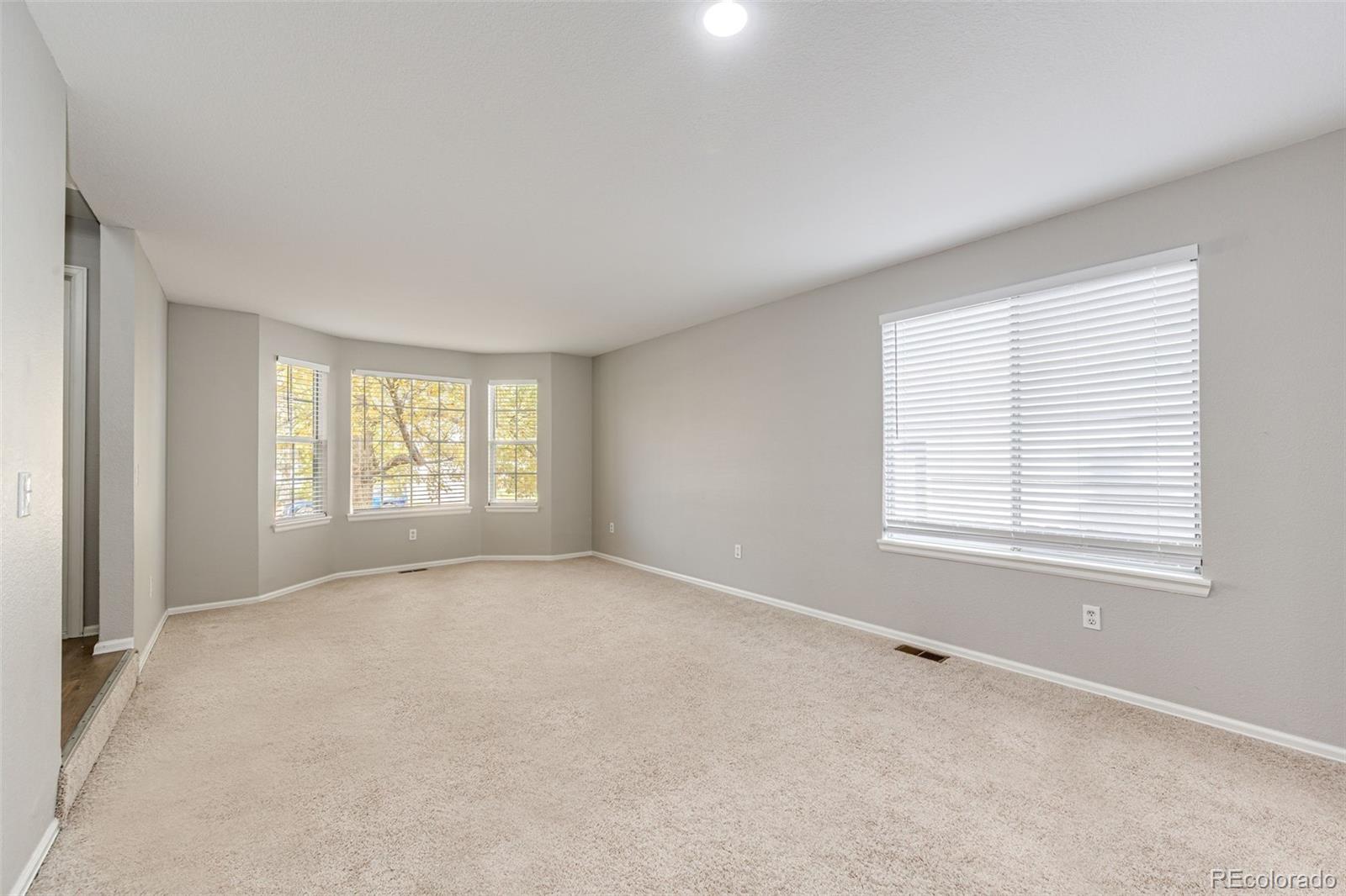 MLS Image #6 for 17032 e wiley place,parker, Colorado