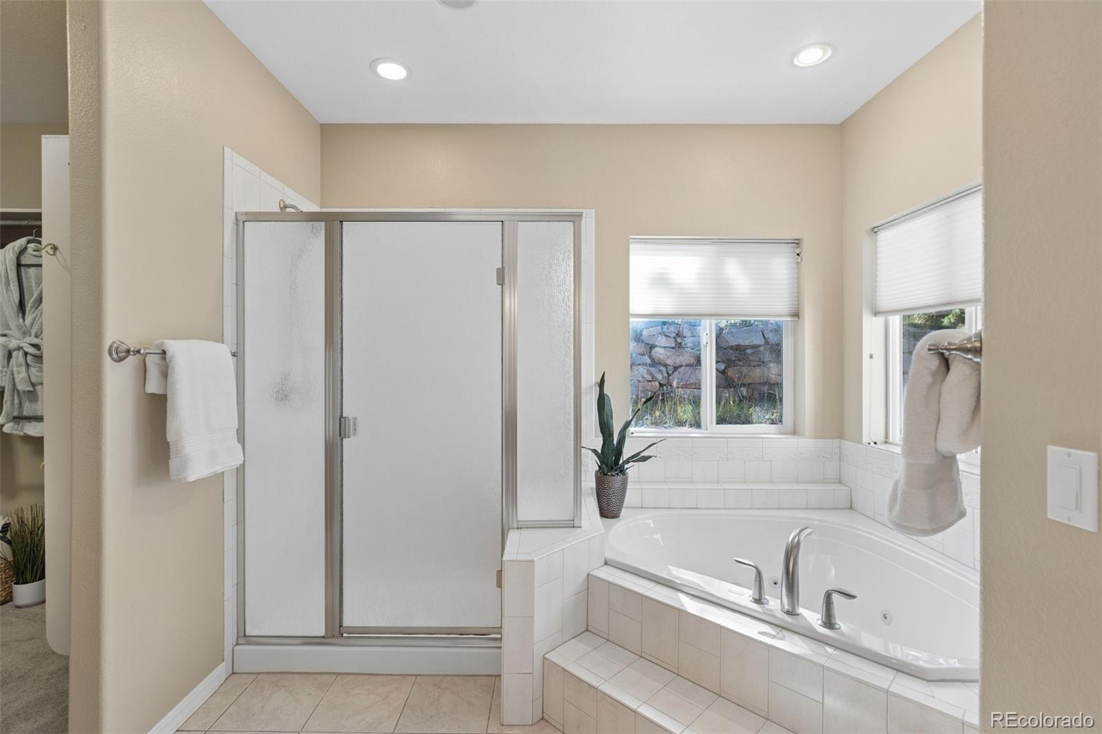 MLS Image #20 for 147  metcalf lane,monument, Colorado