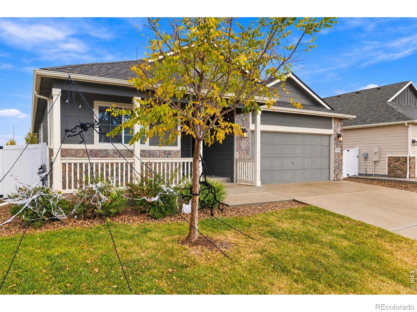 MLS Image #26 for 7588  back stretch drive,wellington, Colorado