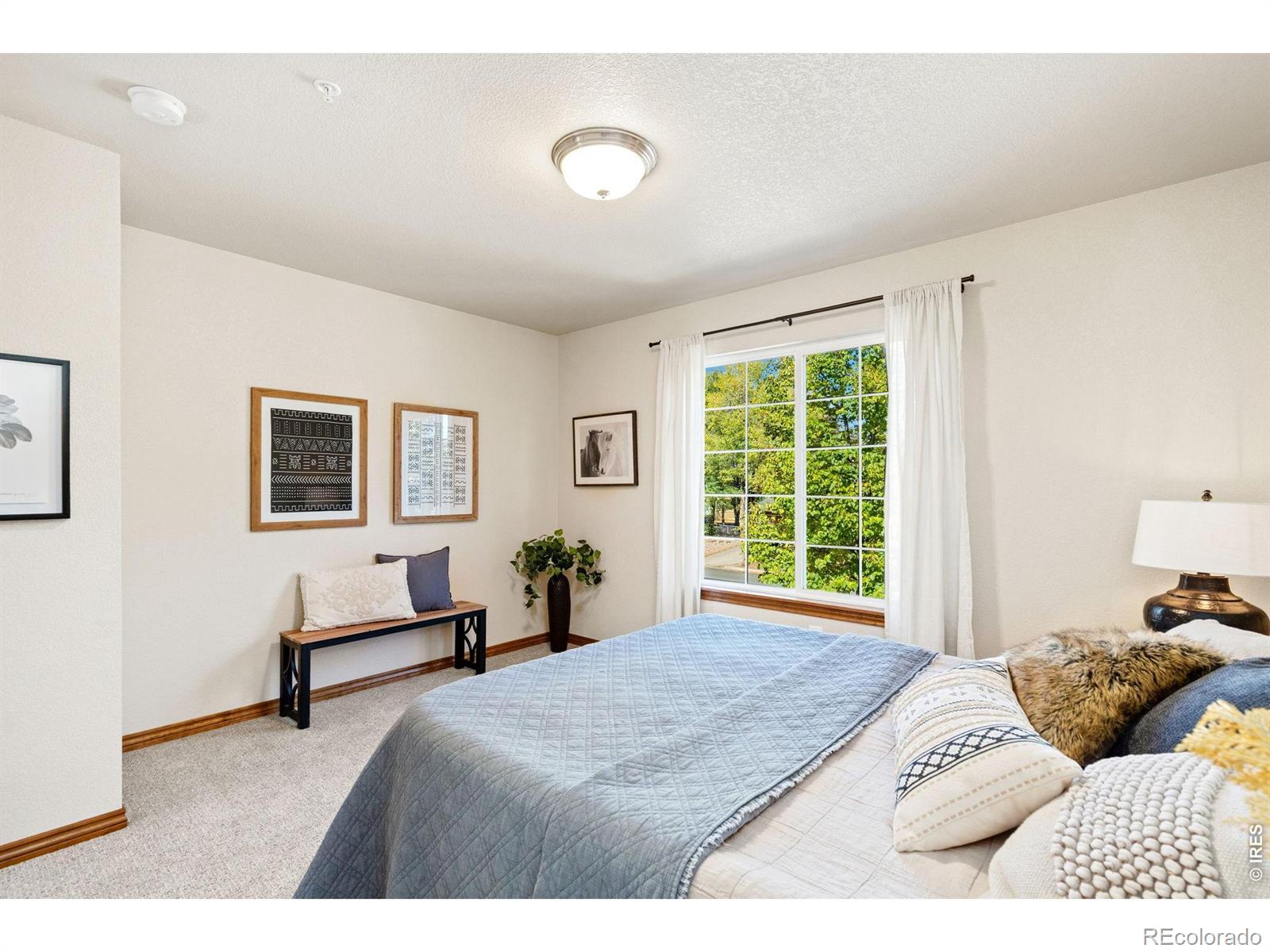 MLS Image #23 for 607  cowan street,fort collins, Colorado