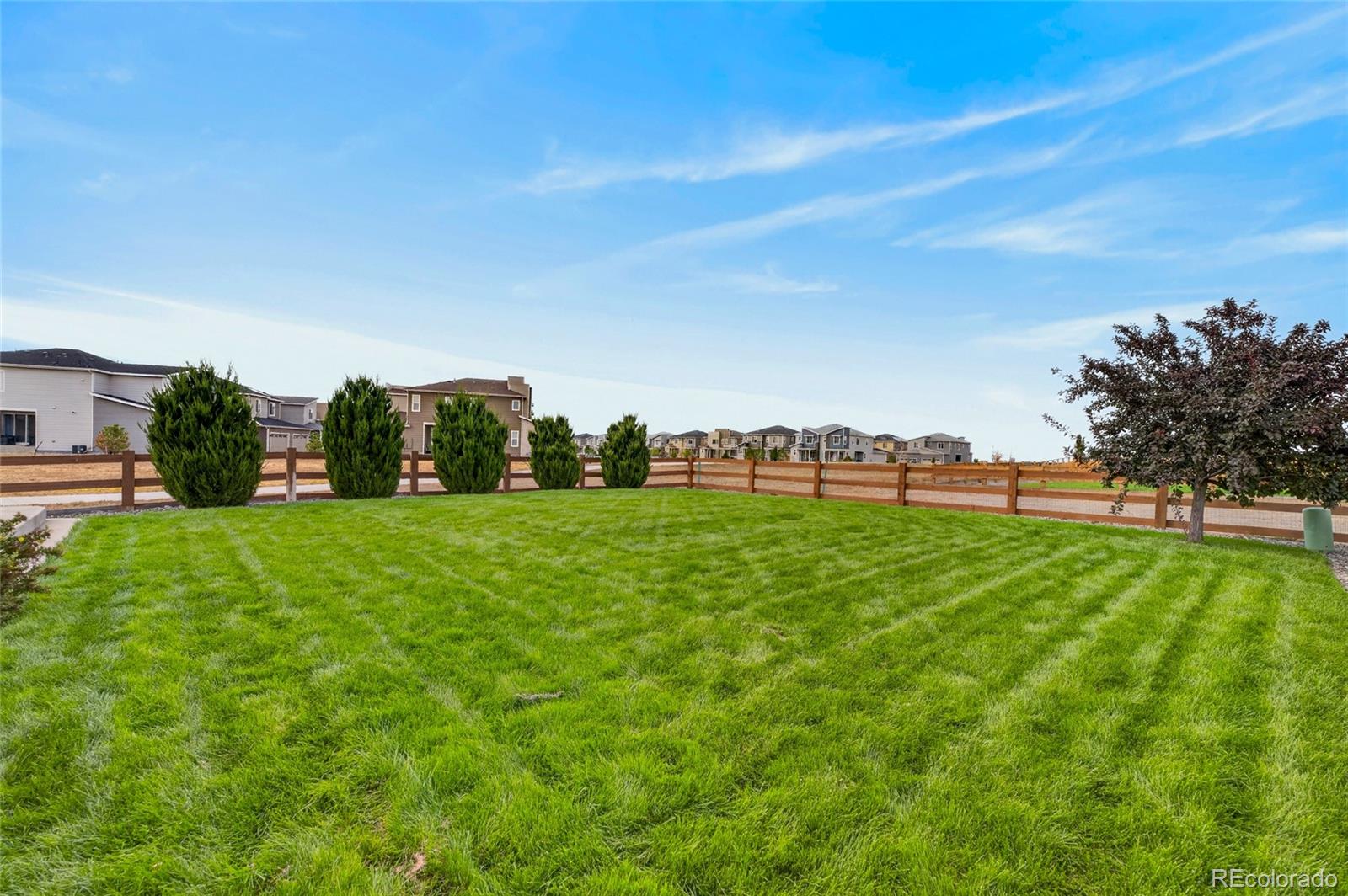 MLS Image #41 for 5361  warrior street,frederick, Colorado