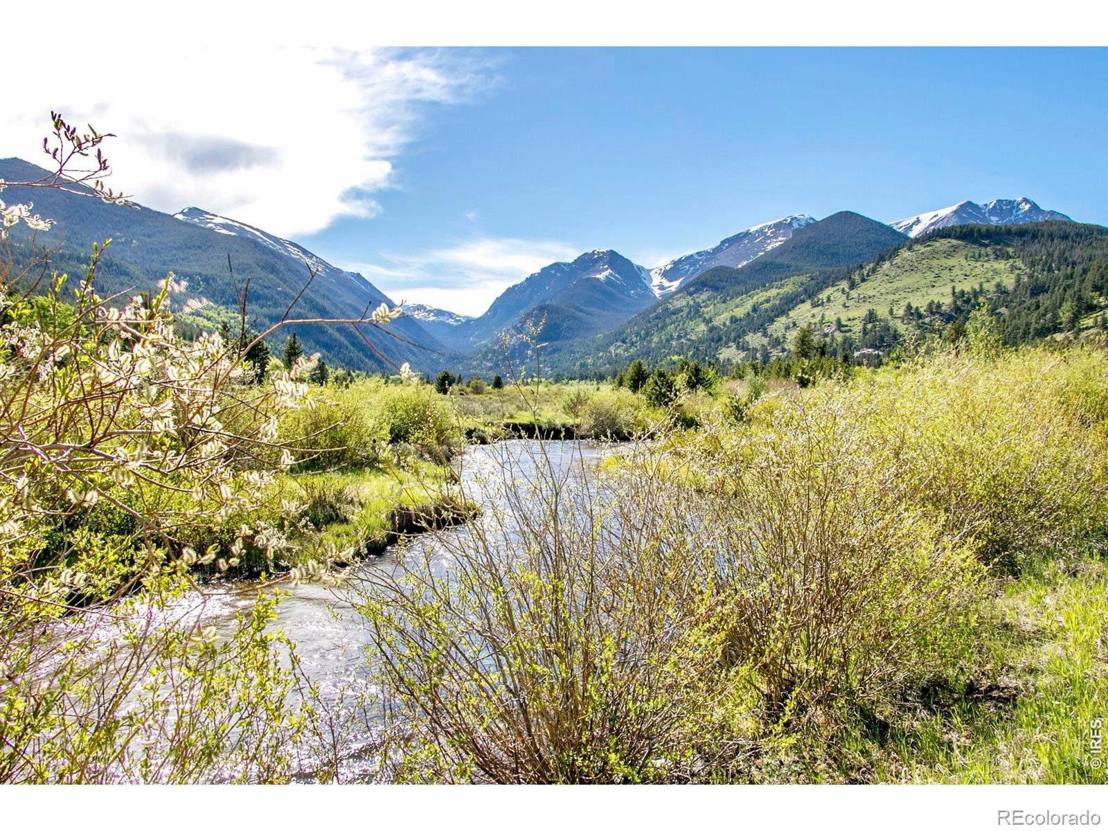 MLS Image #2 for 1665  continental peaks circle,estes park, Colorado