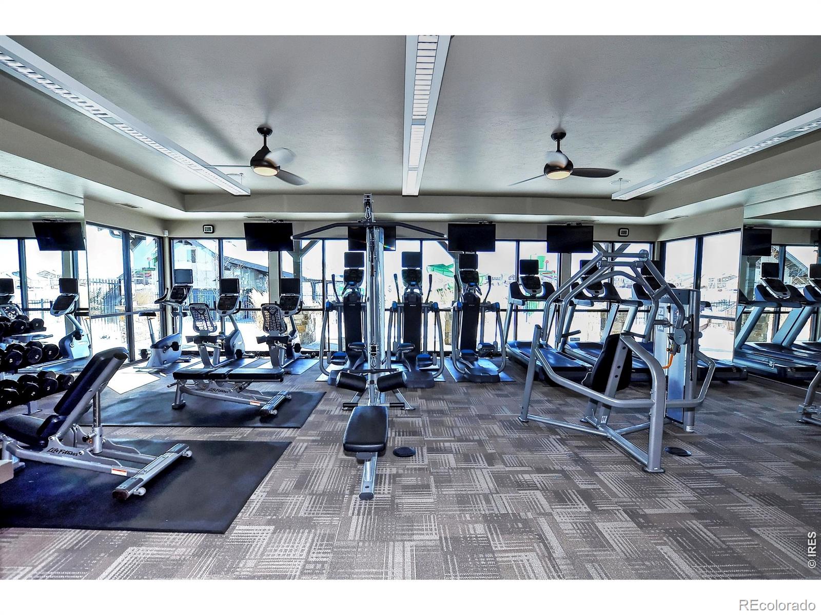 MLS Image #45 for 6805  covenant court,timnath, Colorado