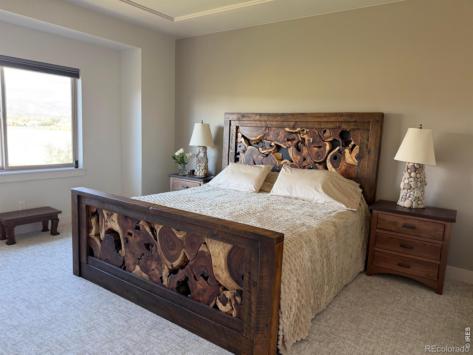 MLS Image #10 for 113  scenic court,loveland, Colorado